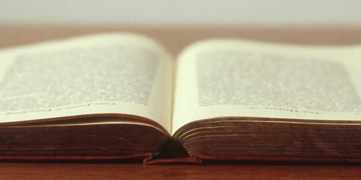 Dewalt Track Saw Kit: Unleash Precision & Confidence