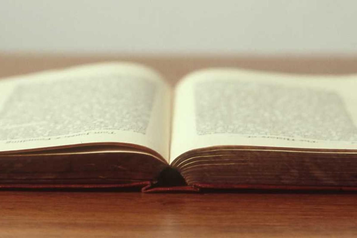 Dewalt Track Saw Kit: Unleash Precision & Confidence