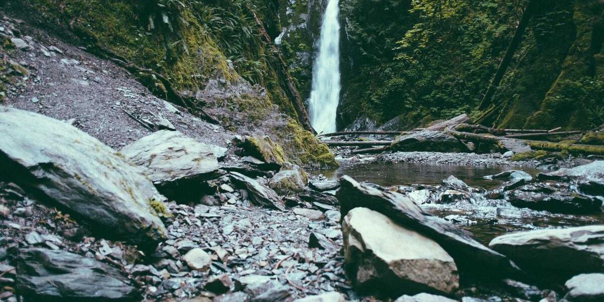 Mortise and Tenon Joint: Classic Technique